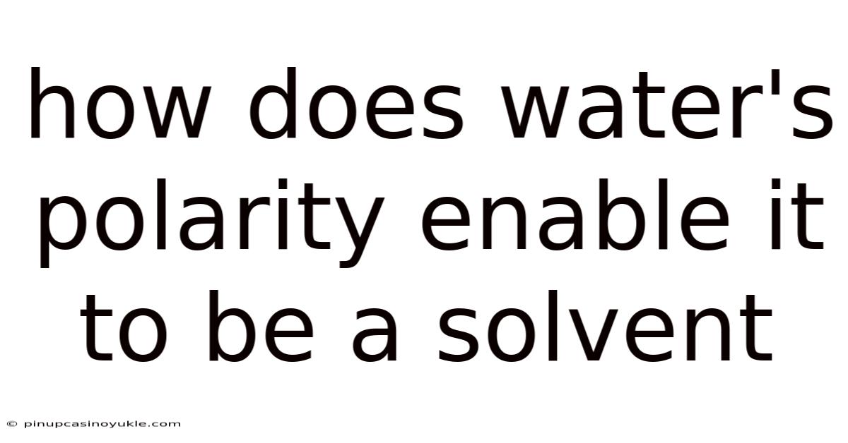 How Does Water's Polarity Enable It To Be A Solvent