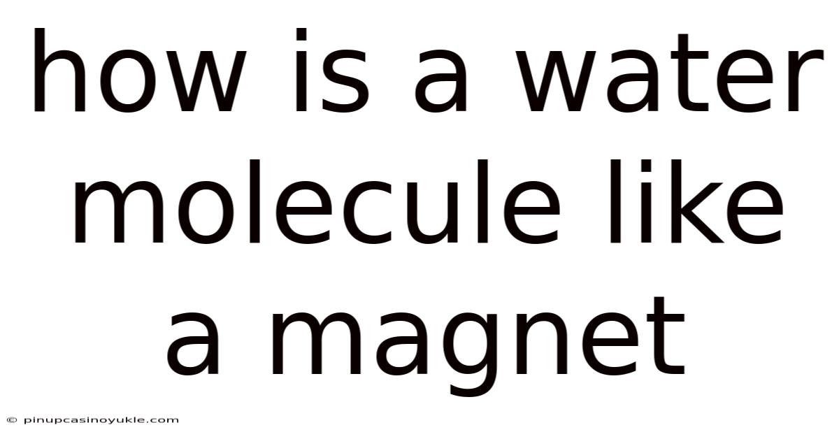How Is A Water Molecule Like A Magnet