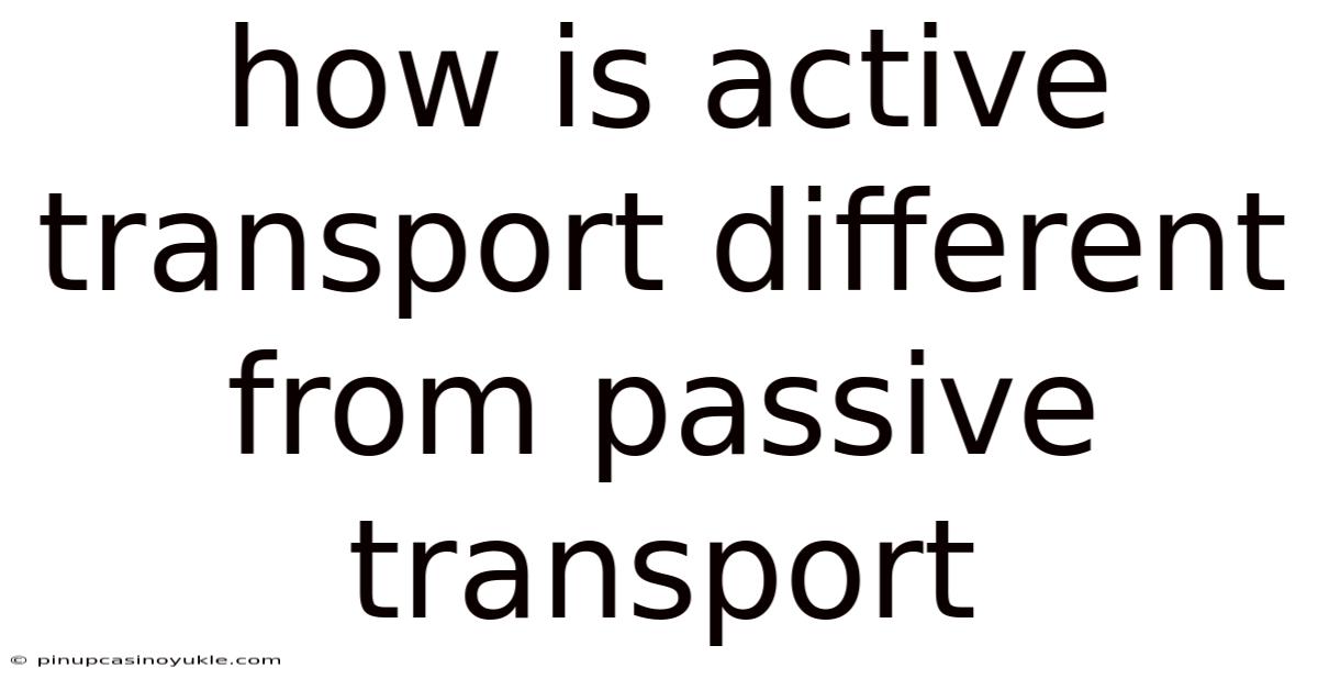 How Is Active Transport Different From Passive Transport