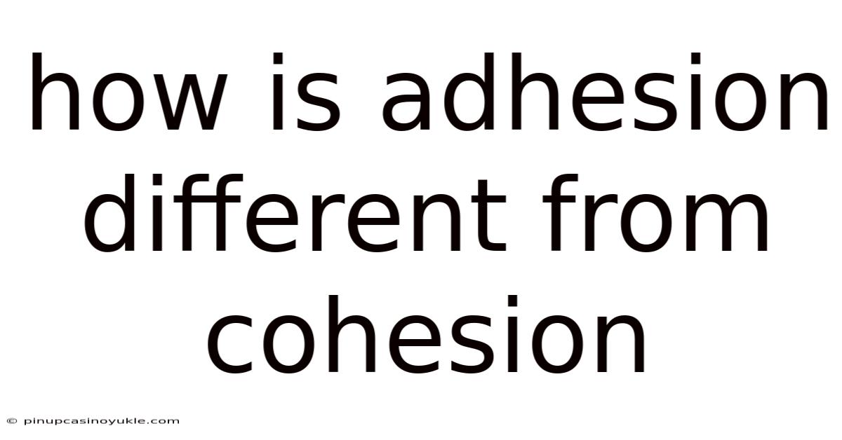 How Is Adhesion Different From Cohesion