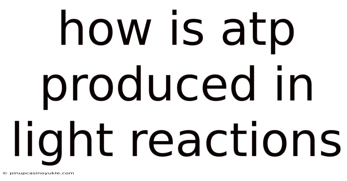 How Is Atp Produced In Light Reactions