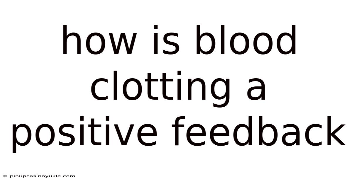 How Is Blood Clotting A Positive Feedback