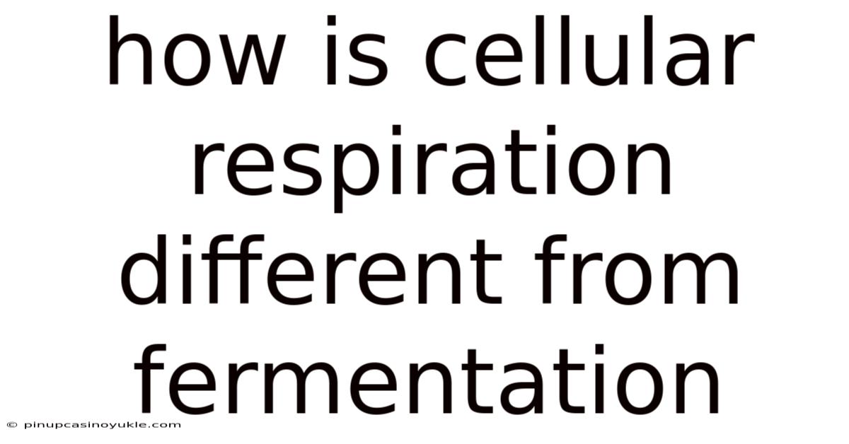 How Is Cellular Respiration Different From Fermentation