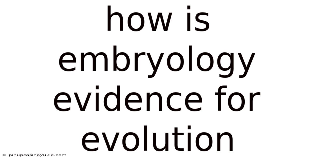 How Is Embryology Evidence For Evolution