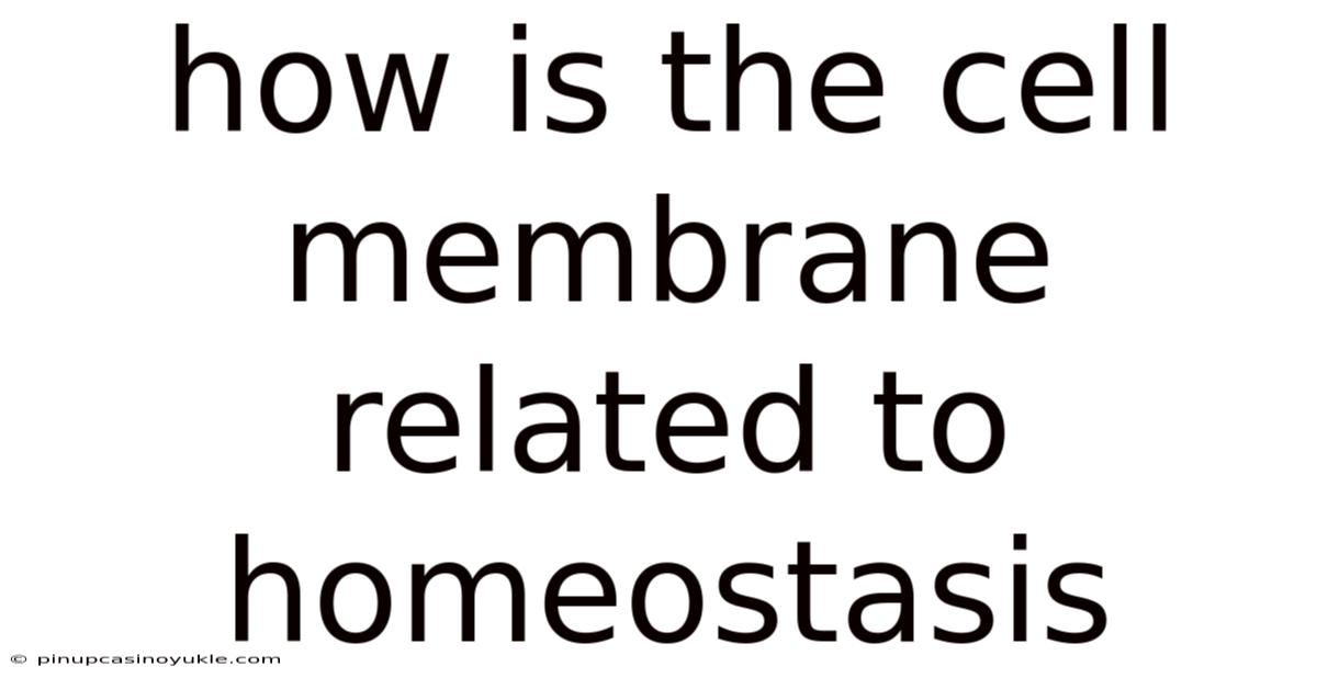 How Is The Cell Membrane Related To Homeostasis