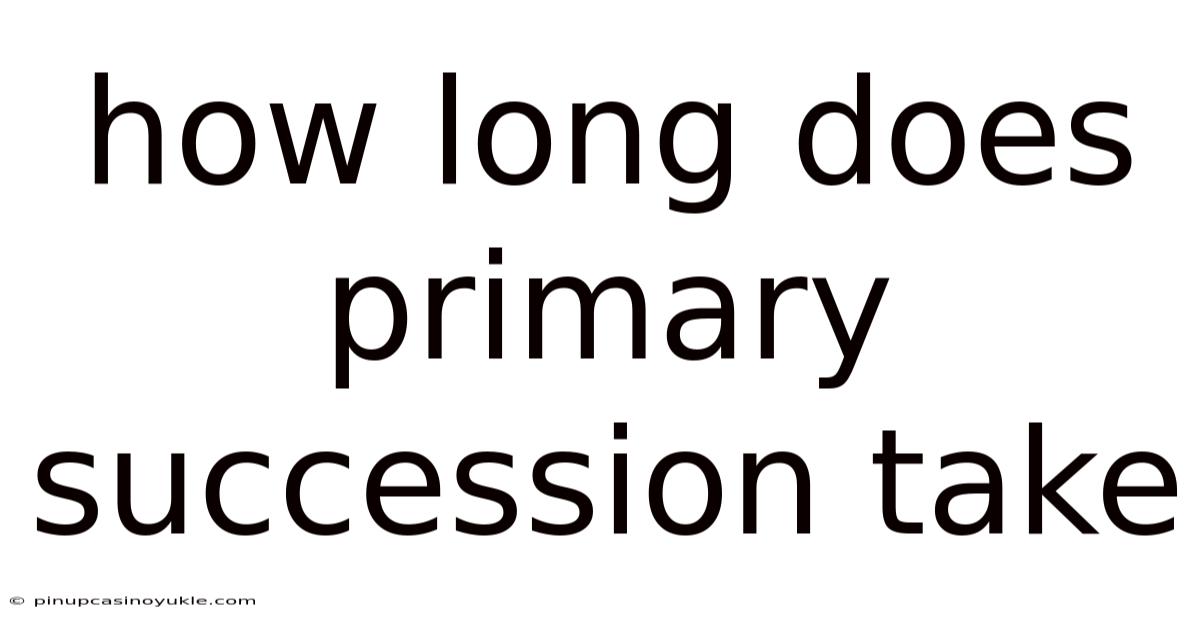 How Long Does Primary Succession Take