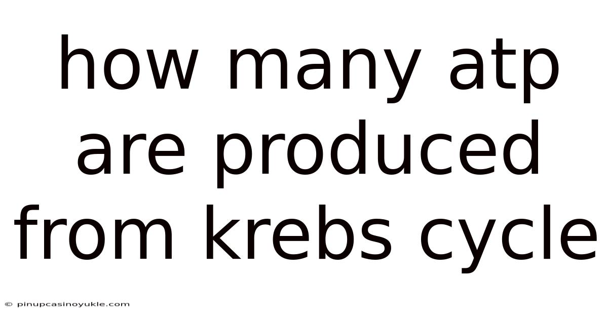 How Many Atp Are Produced From Krebs Cycle