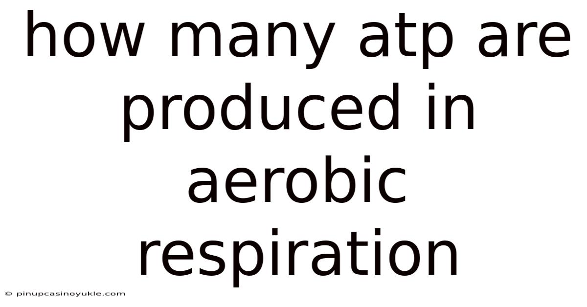How Many Atp Are Produced In Aerobic Respiration