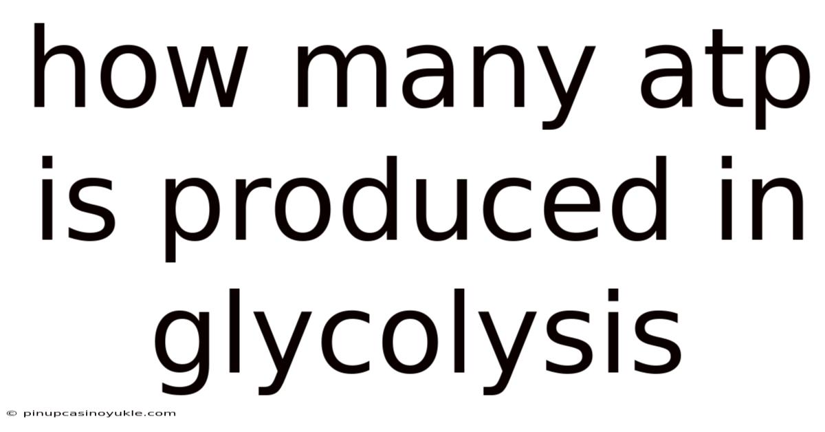 How Many Atp Is Produced In Glycolysis