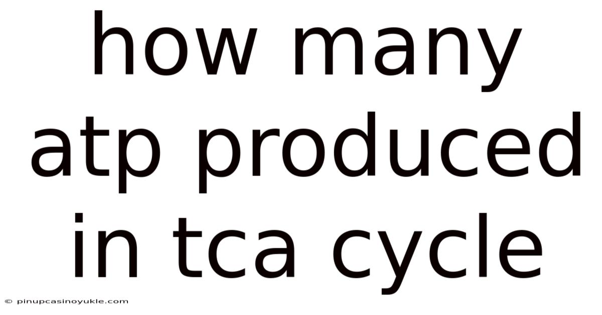 How Many Atp Produced In Tca Cycle