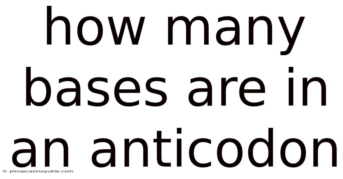How Many Bases Are In An Anticodon
