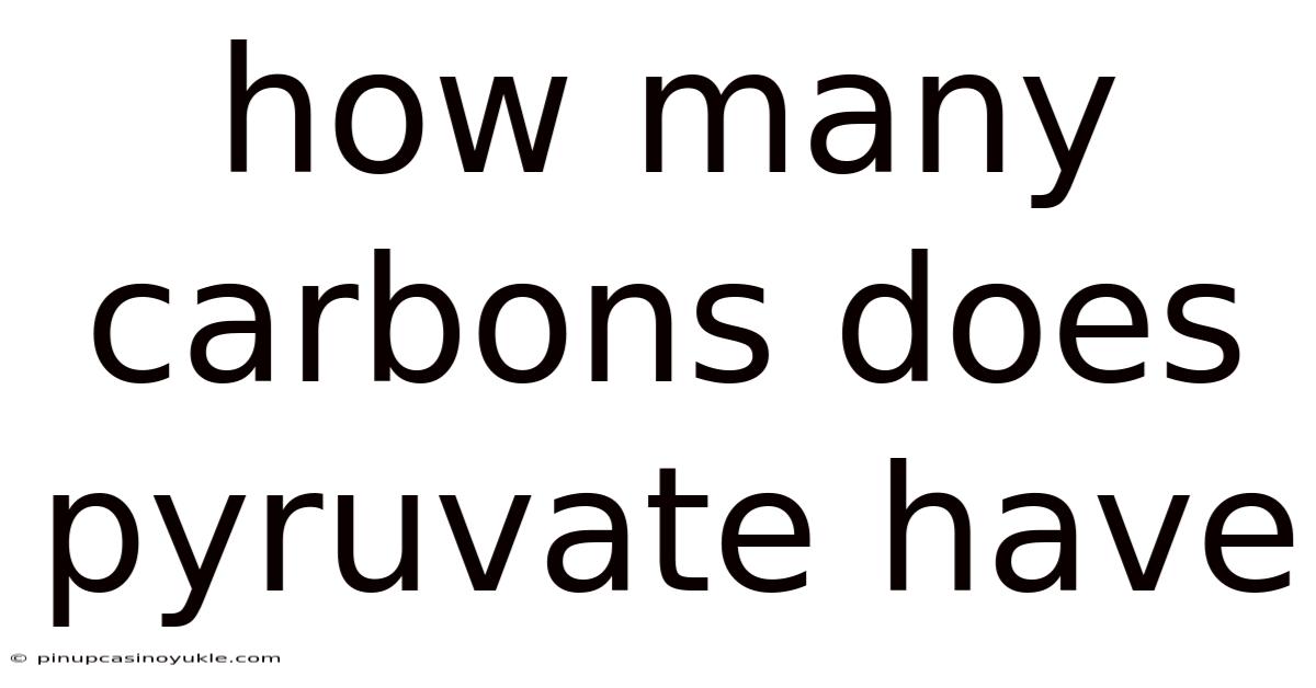 How Many Carbons Does Pyruvate Have