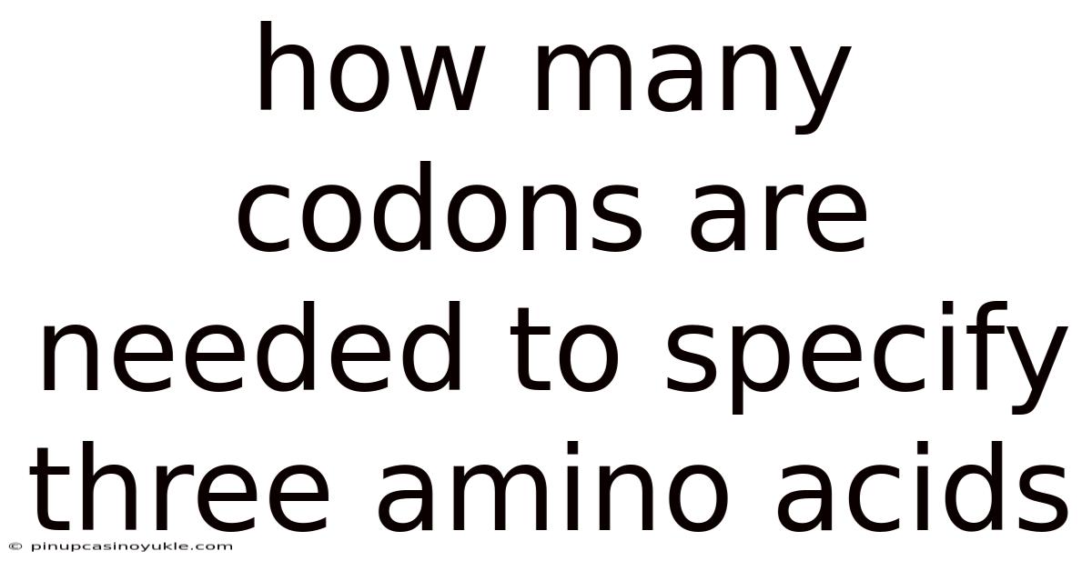 How Many Codons Are Needed To Specify Three Amino Acids