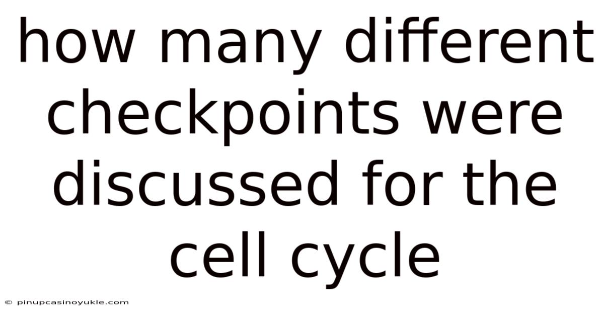 How Many Different Checkpoints Were Discussed For The Cell Cycle