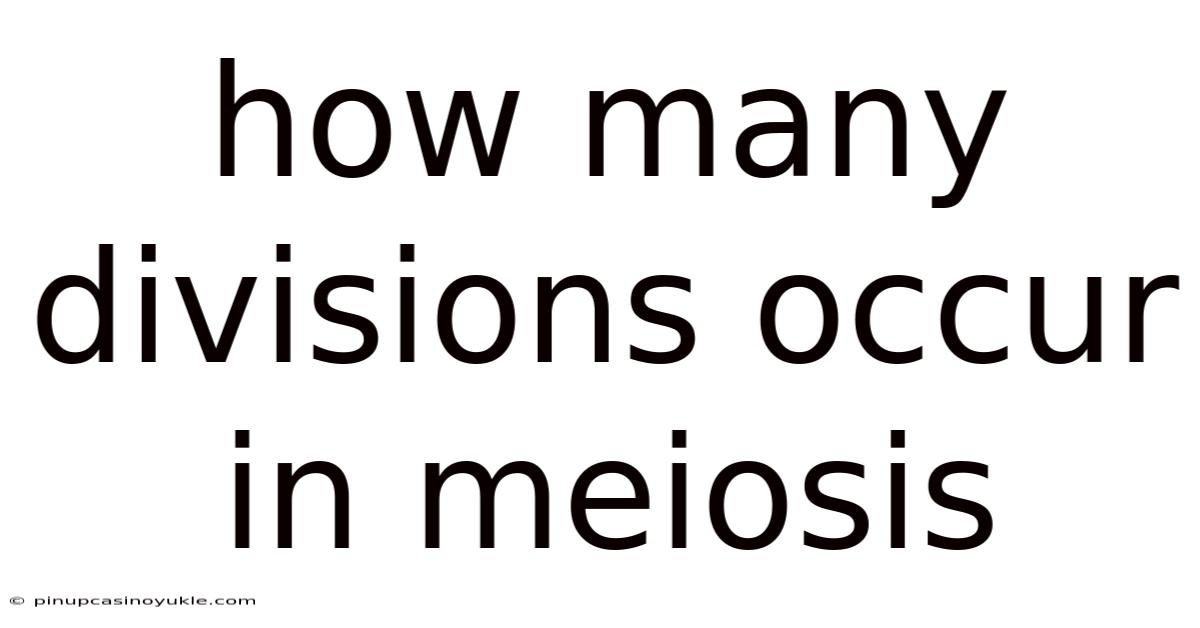 How Many Divisions Occur In Meiosis