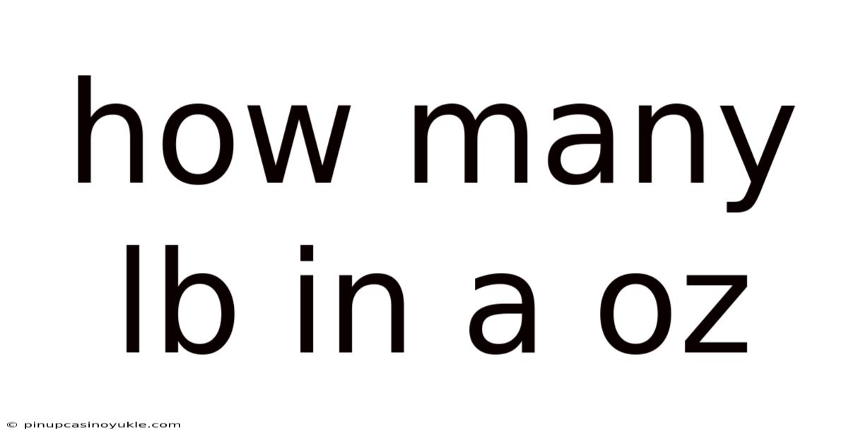 How Many Lb In A Oz