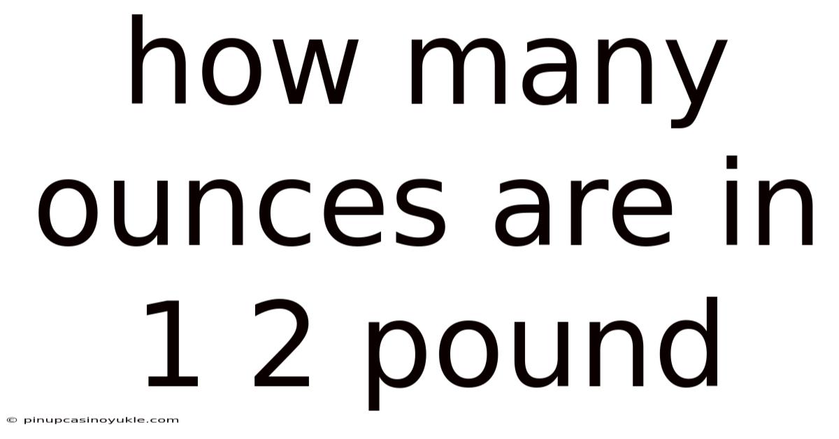 How Many Ounces Are In 1 2 Pound