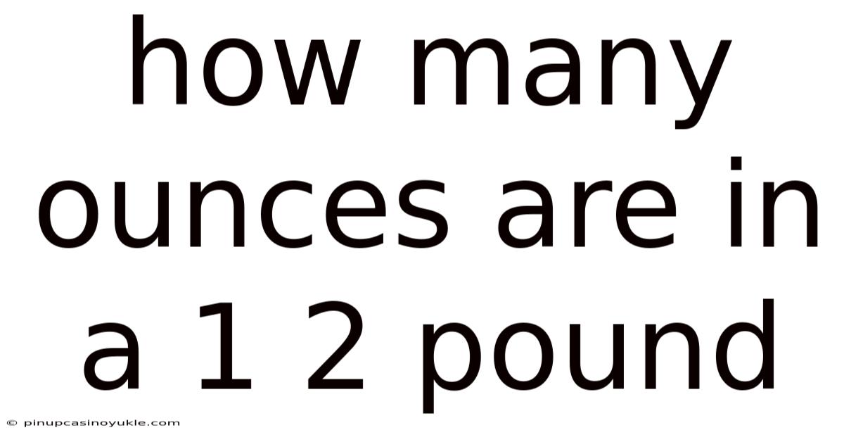 How Many Ounces Are In A 1 2 Pound
