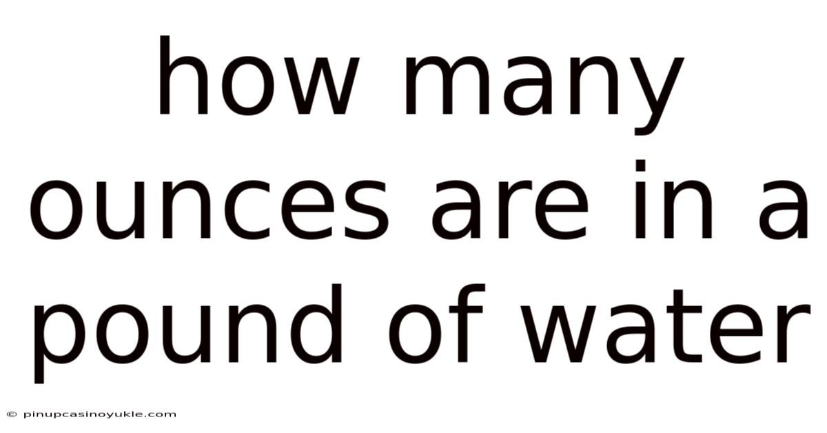 How Many Ounces Are In A Pound Of Water
