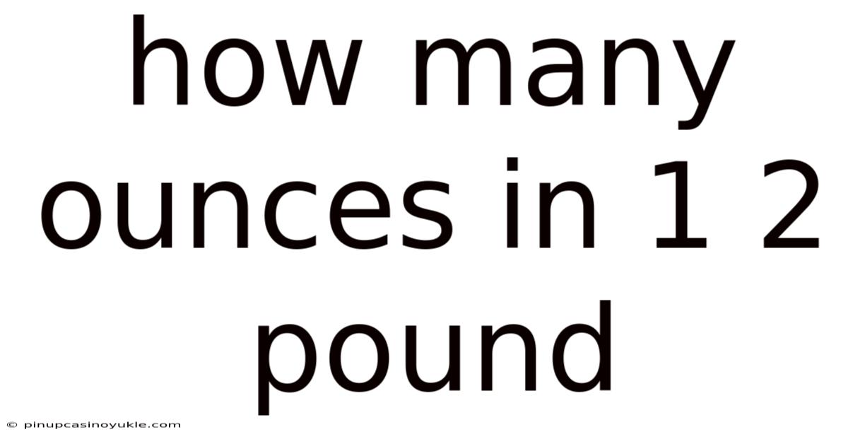 How Many Ounces In 1 2 Pound