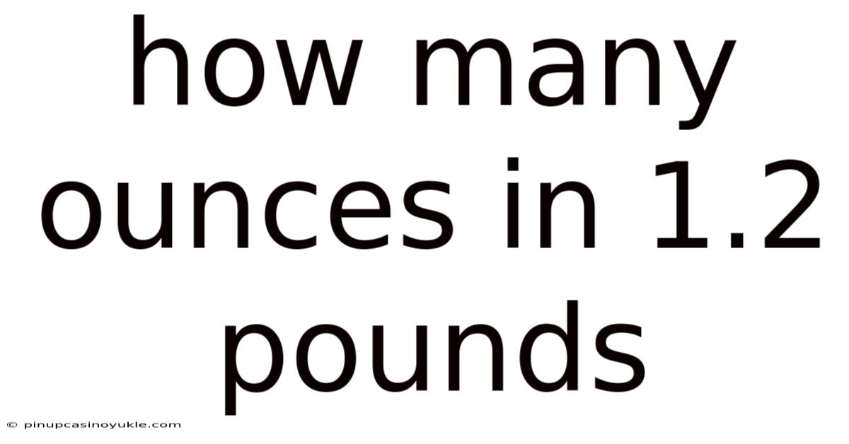 How Many Ounces In 1.2 Pounds