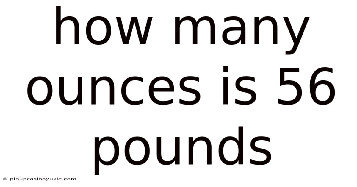 How Many Ounces Is 56 Pounds