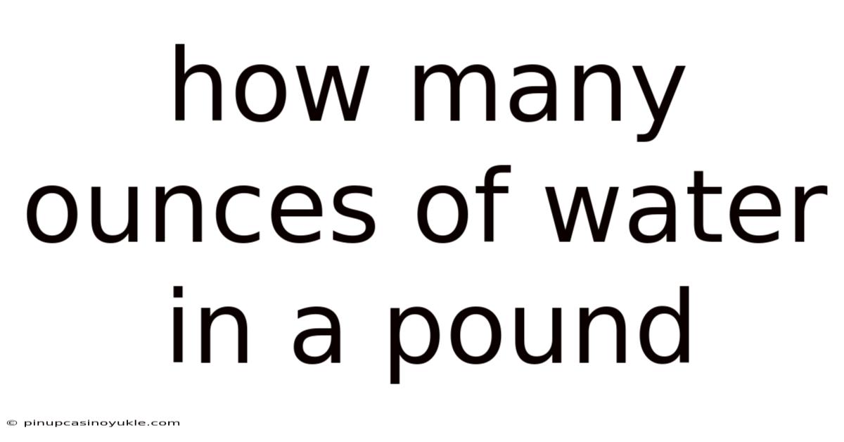 How Many Ounces Of Water In A Pound