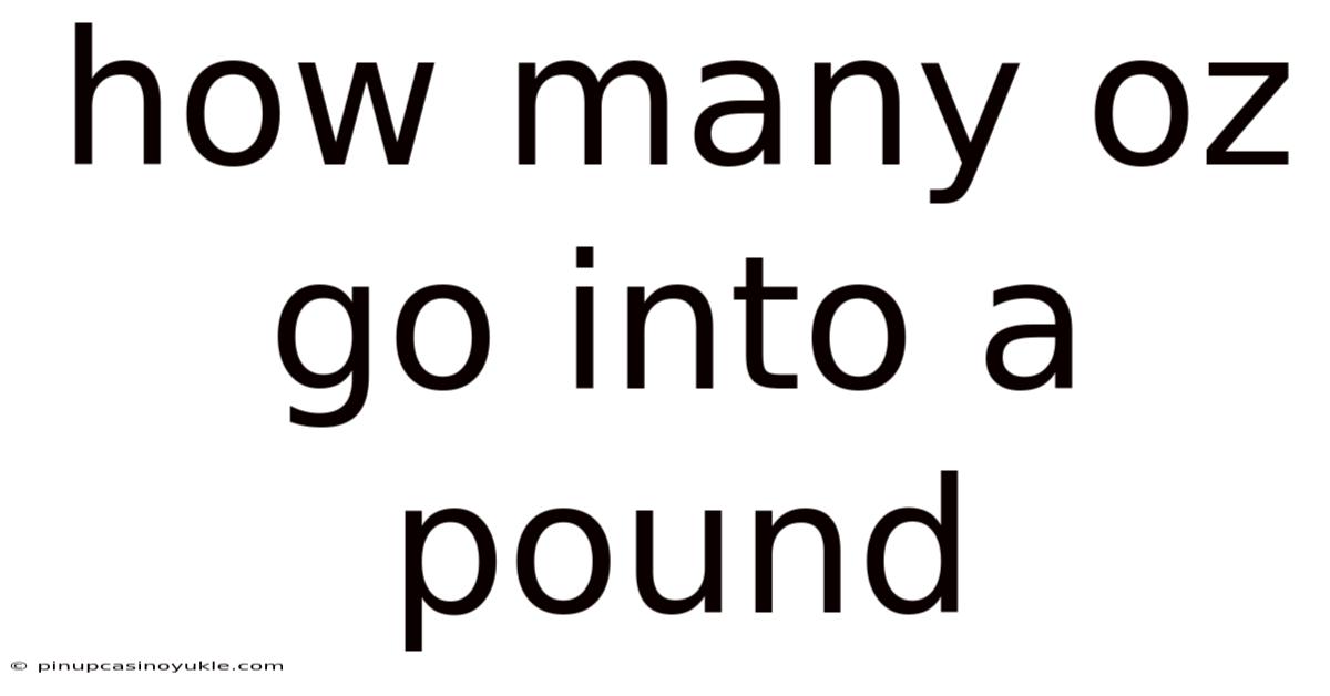 How Many Oz Go Into A Pound