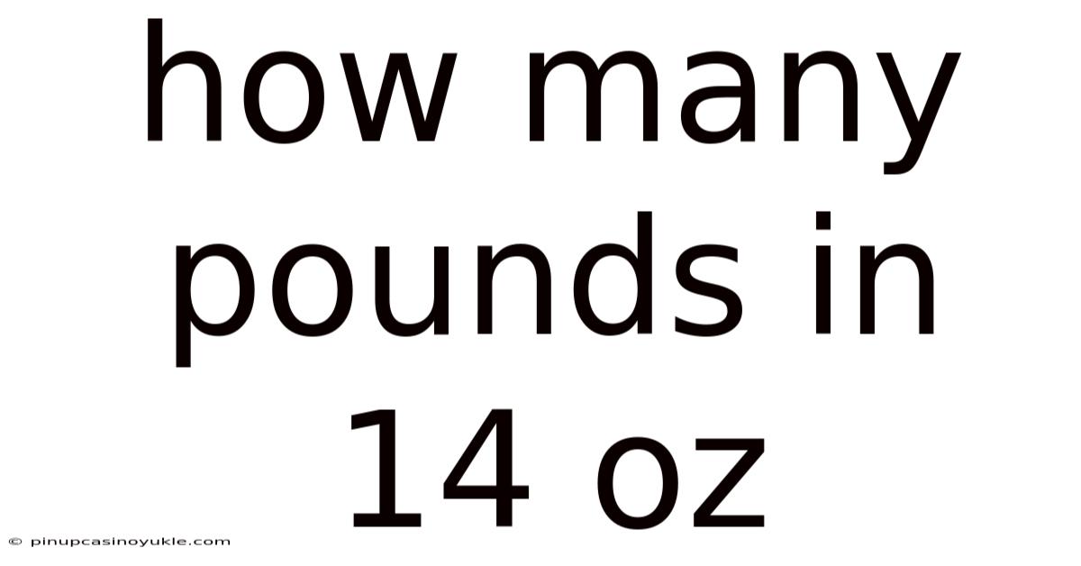 How Many Pounds In 14 Oz