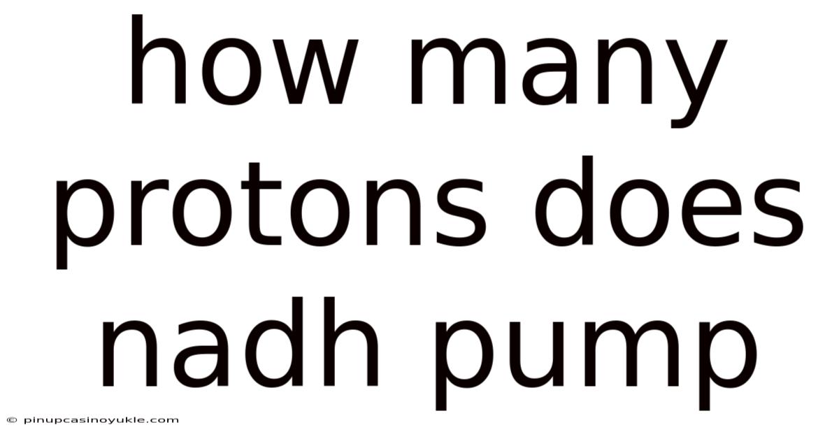 How Many Protons Does Nadh Pump