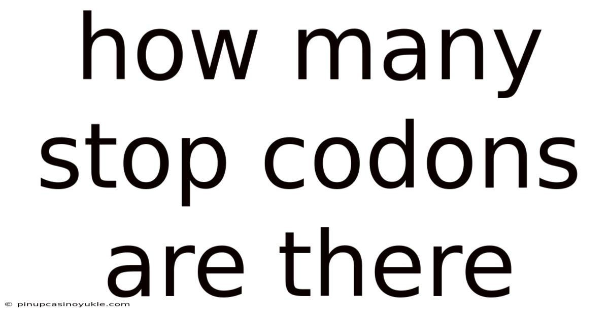 How Many Stop Codons Are There