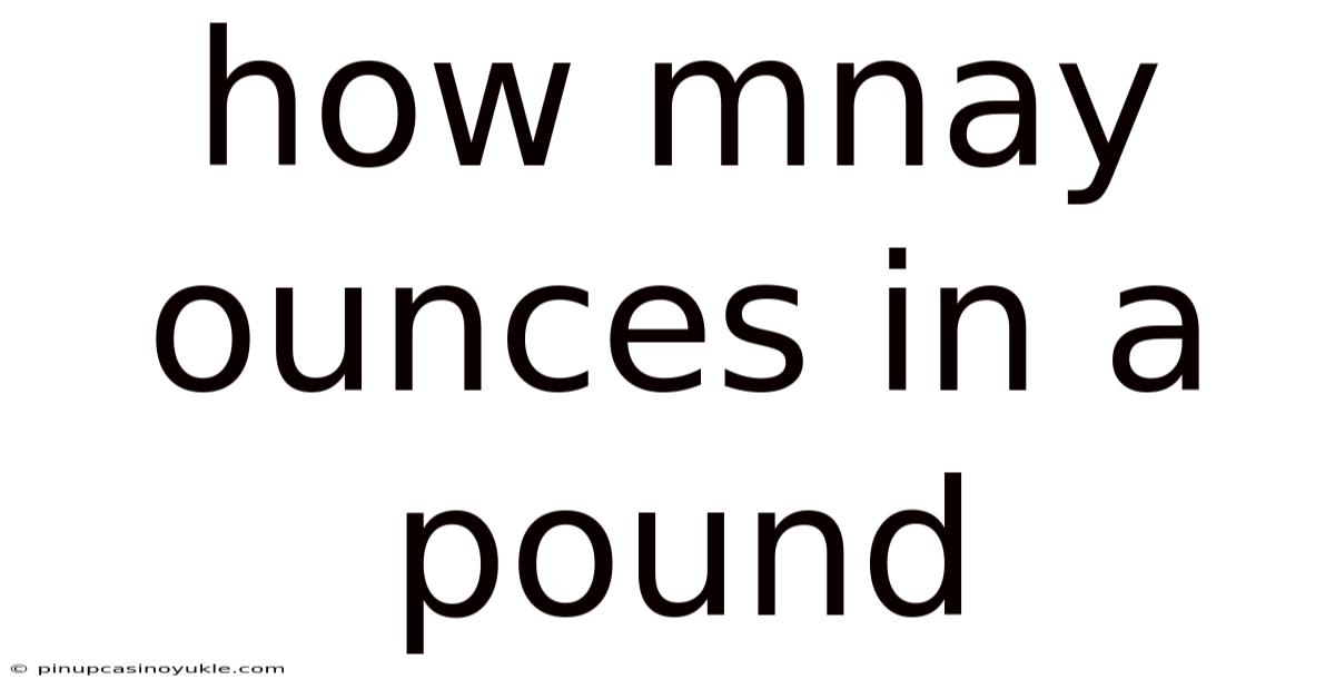 How Mnay Ounces In A Pound