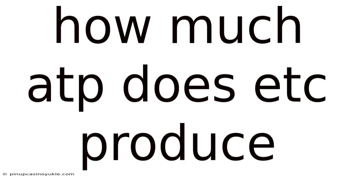 How Much Atp Does Etc Produce