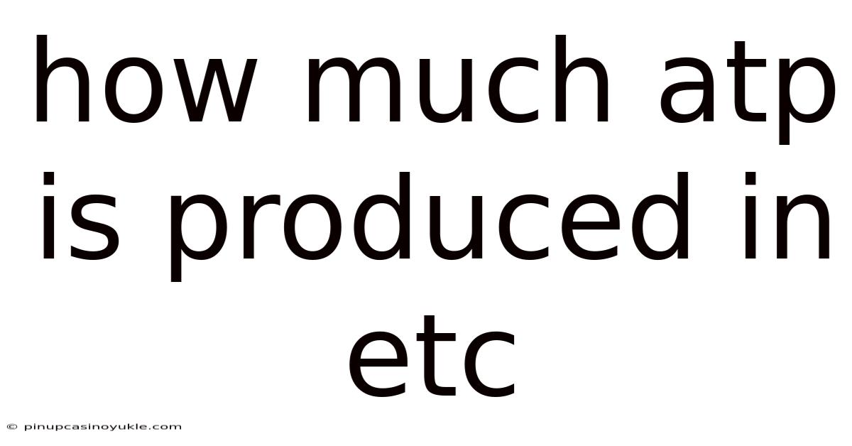 How Much Atp Is Produced In Etc