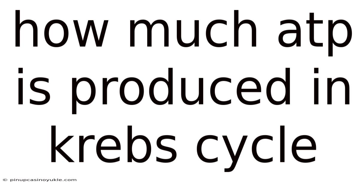 How Much Atp Is Produced In Krebs Cycle