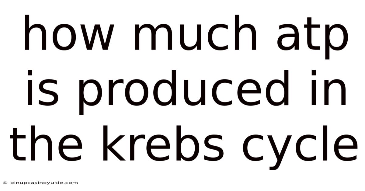 How Much Atp Is Produced In The Krebs Cycle
