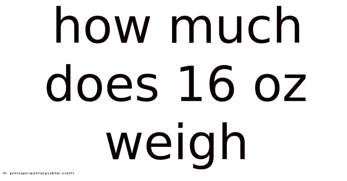 How Much Does 16 Oz Weigh