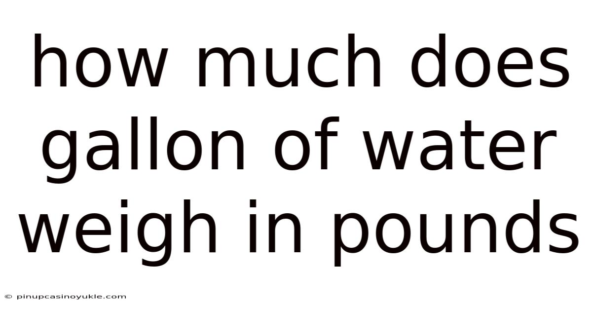 How Much Does Gallon Of Water Weigh In Pounds