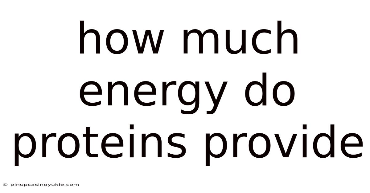 How Much Energy Do Proteins Provide