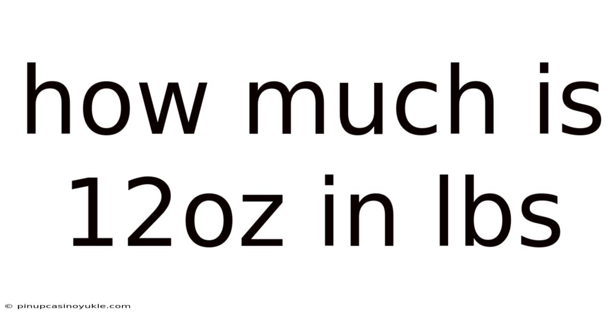 How Much Is 12oz In Lbs