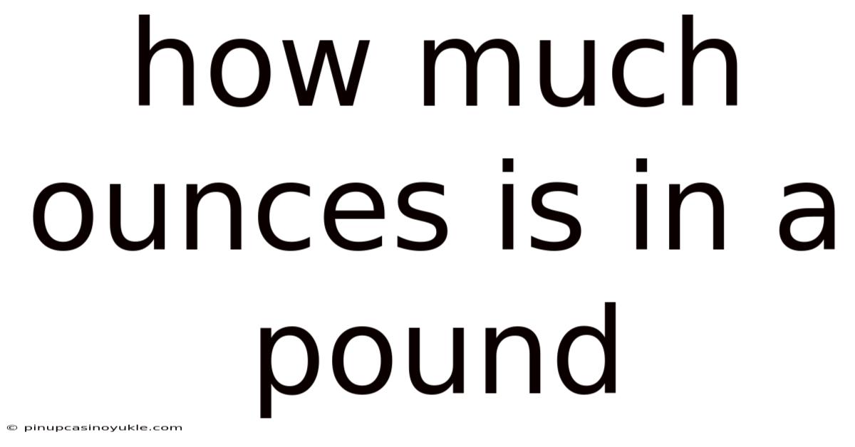 How Much Ounces Is In A Pound