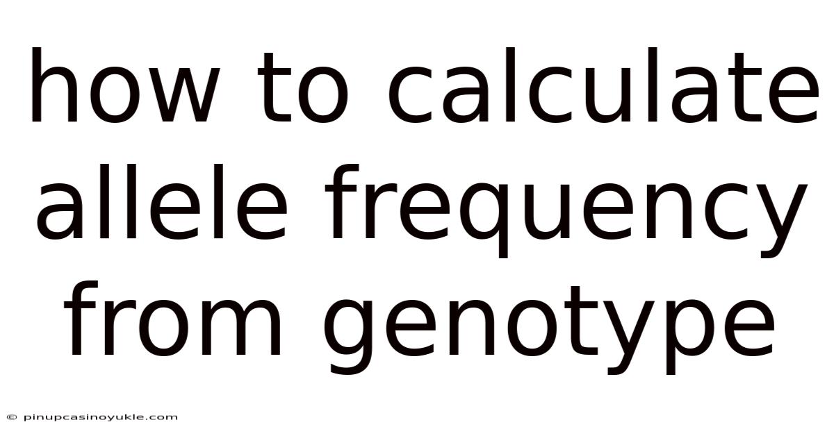 How To Calculate Allele Frequency From Genotype