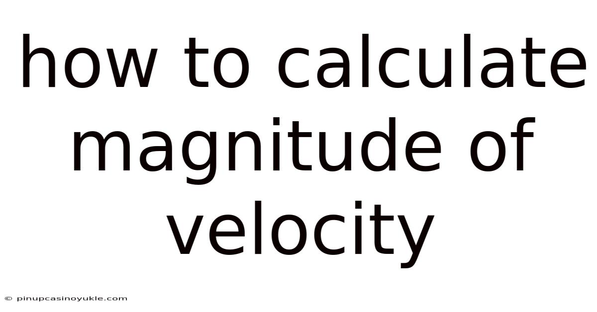 How To Calculate Magnitude Of Velocity