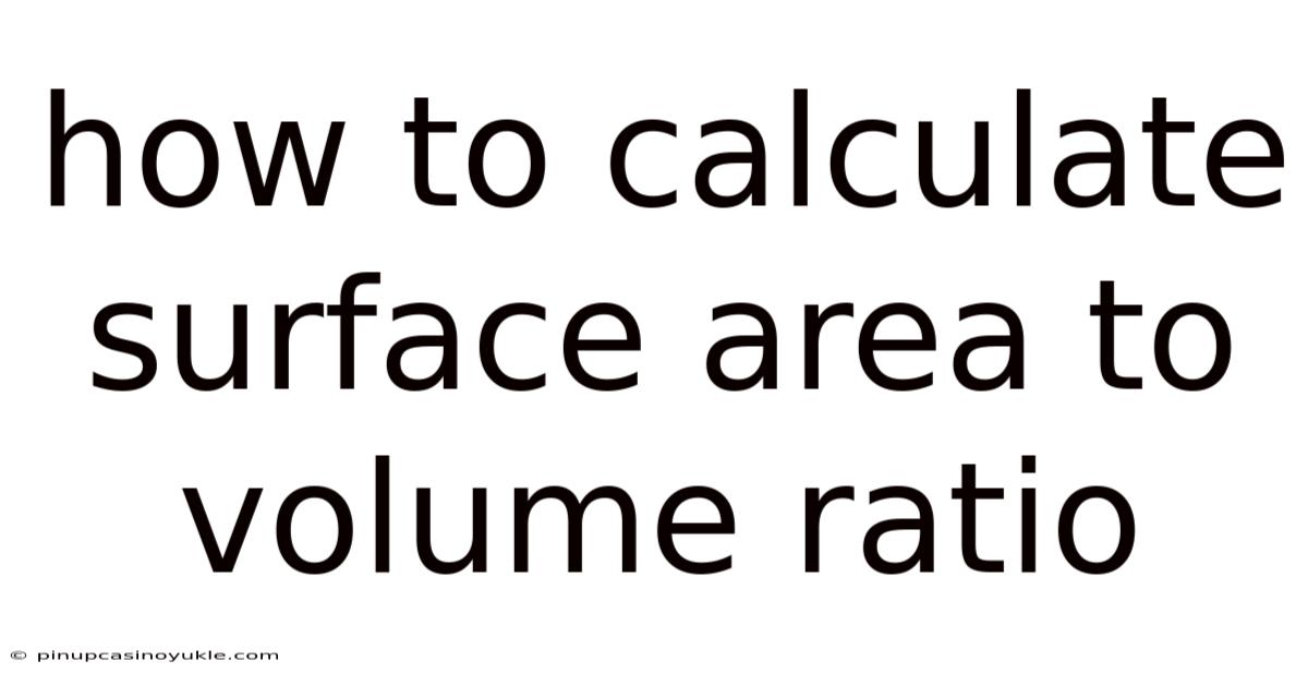 How To Calculate Surface Area To Volume Ratio