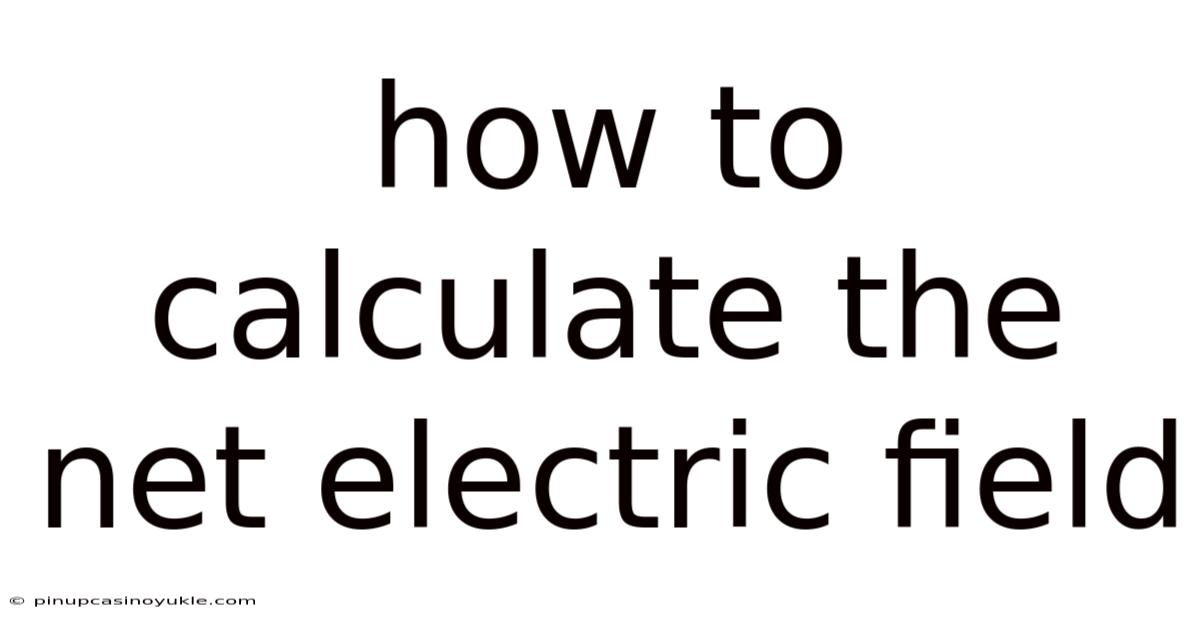How To Calculate The Net Electric Field