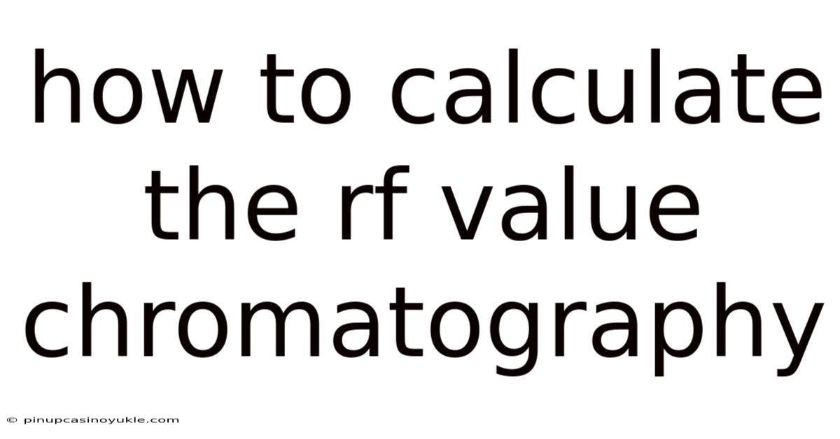 How To Calculate The Rf Value Chromatography