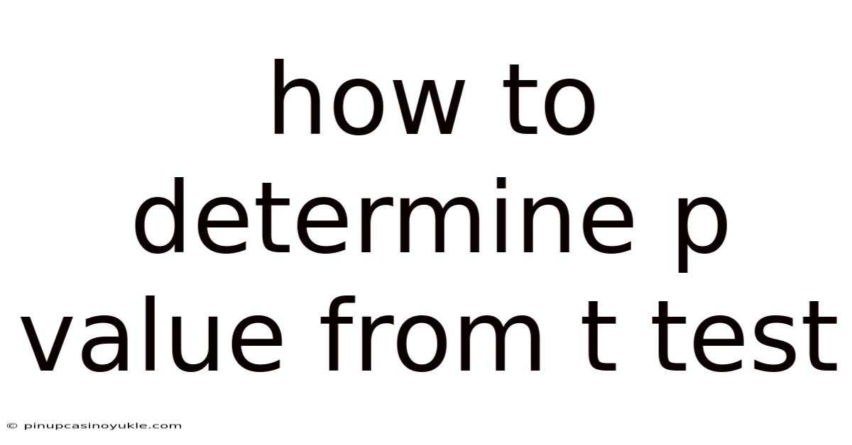 How To Determine P Value From T Test