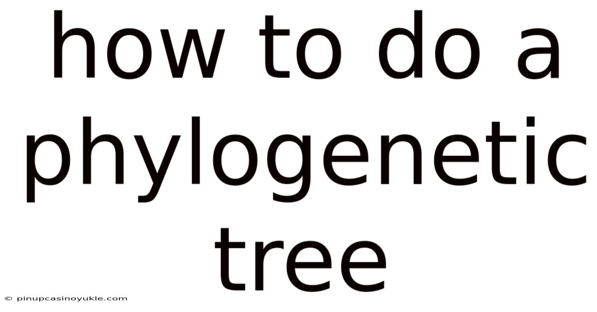 How To Do A Phylogenetic Tree