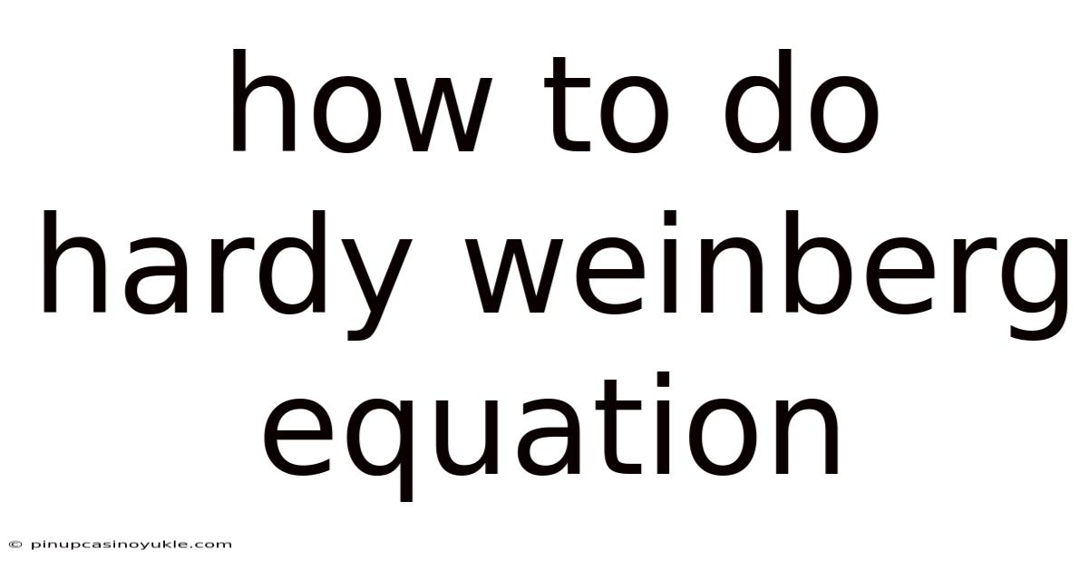 How To Do Hardy Weinberg Equation