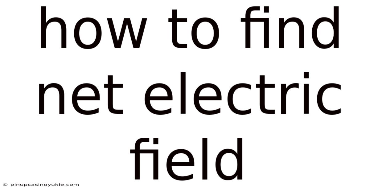 How To Find Net Electric Field